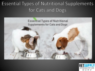 Best Types of Nutritional Supplements for Cats and Dogs - VetSupply