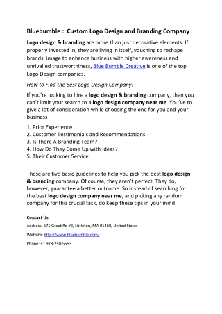 Bluebumble Custom Logo Design and Branding Company