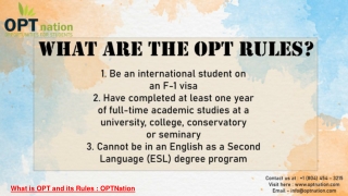 What is OPT and its Rules _ OPTNation