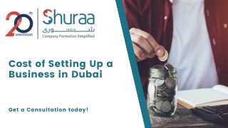 Cost of Setting Up a Business in Dubai