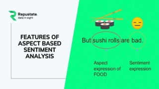 Aspect-Based Sentiment Analysis