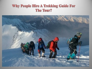 Why People Hire A Trekking Guide For The Tour