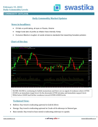 Commodity daily levels (15-Feb.)