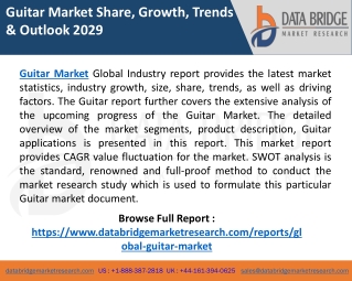 Guitar Market Size, Share, Trends, Opportunities, Business Strategies