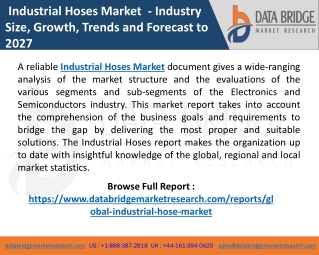 Industrial Hoses Market Size, Share, Trends, Opportunities, Insights