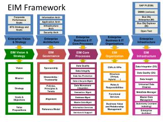 EIM Vision &amp; Strategy