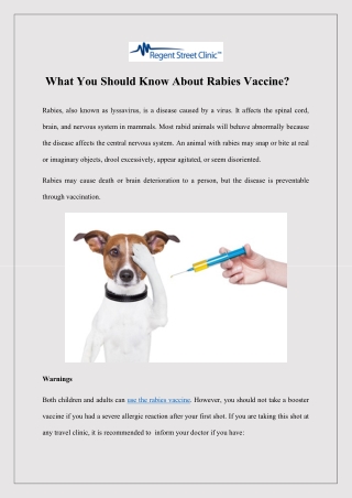 What You Should Know About Rabies Vaccine