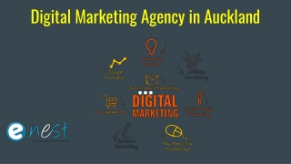 Digital Marketing Agency in Auckland