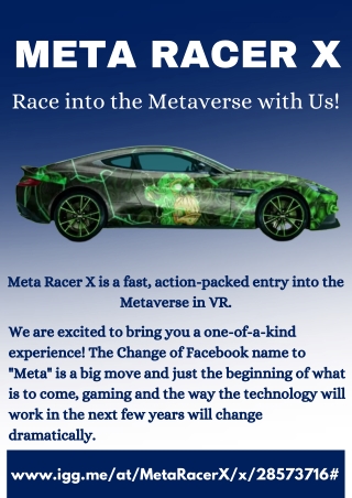 Meta Racer X - Is more than Just Art it is an Experience you will love