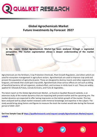 Global Agrochemicals Market 