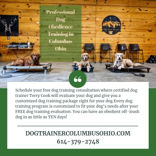 Professional Dog Obedience Training in Columbus Ohio