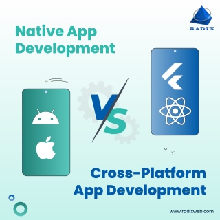 Native app development vs. cross platform app development