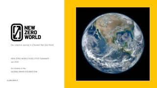 NEW ZERO WORLD EXECUTIVE SUMMARY | Paulo Dalla Nora Macedo