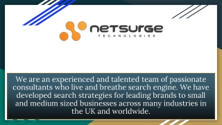Digital Marketing Company - Netsurge
