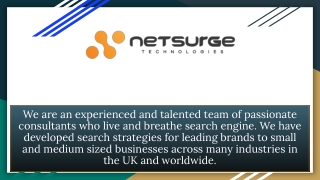 Best SEO Services - Netsurge