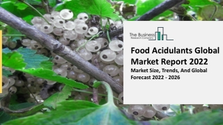 Global Food Acidulants Market Competitive Strategies And Forecasts To 2030