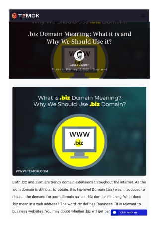 .biz Domain Meaning What it is and Why We Should Use it