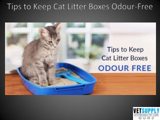 Tips to Keep Cat Litter Boxes Odour-Free - VetSupply