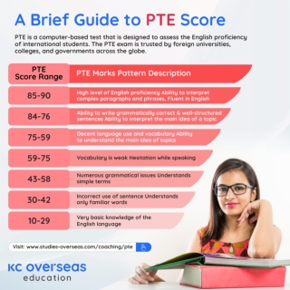 A Brief Guide to PTE Test