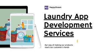 Laundry App Development Services