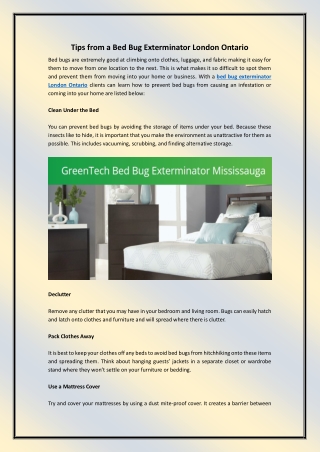 Tips from a Bed Bug Exterminator London Ontario