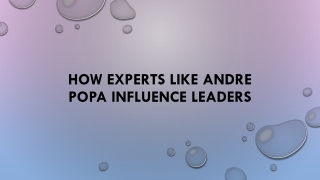 How Experts Like Andre Popa Influence Leaders