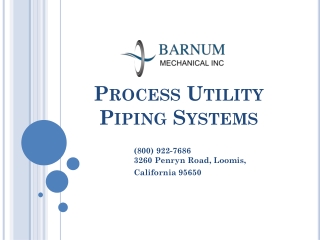 Process Utility Piping Systems