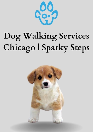 Dog Walking Services Chicago  Sparky Steps