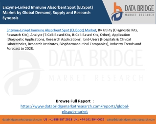 Enzyme-Linked Immune Absorbent Spot (ELISpot) Market by Global Demand, Supply and Research Synopsis