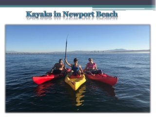 Kayaks in Newport Beach