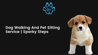 Dog Walking And Pet Sitting Service  Sparky Steps