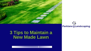 3 Tips to Maintain a New Made Lawn