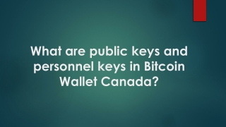 What are public keys and personnel keys in Bitcoin Wallet Canada?