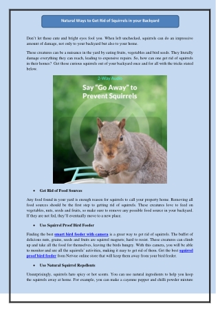 Natural Ways to Get Rid of Squirrels in your Backyard