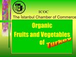 ICOC The Istanbul Chamber of Commerce