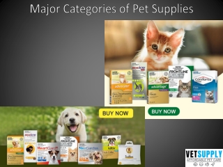 Major Categories of Pet Supplies - VetSupply