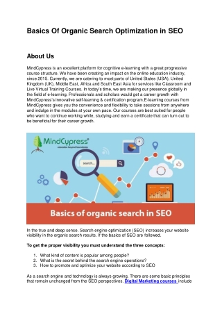 Basics Of Organic Search Optimization In SEO