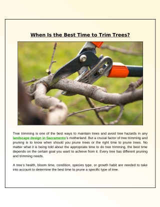 When Is the Best Time to Get Your Trees Trimmed?