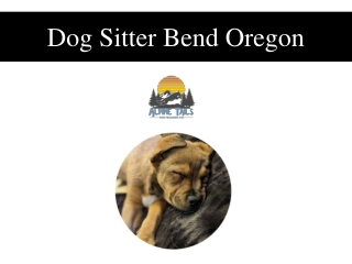 Dog Sitter Bend Oregon