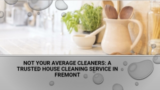 Not Your Average Cleaners - A Trusted House Cleaning Service In Fremont