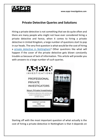 Private Detective Queries and Solutions