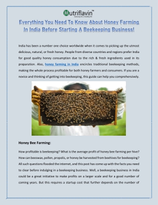 Everything You Need To Know About Honey Farming In India