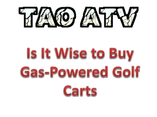 Buy Gas-Powered Golf Carts