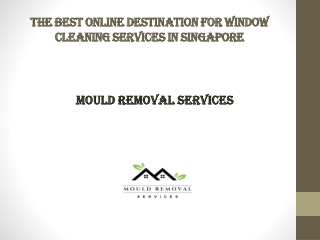 The Best Online Destination for Window Cleaning Services