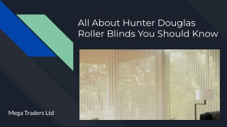 Mega Traders Ltd_ All About Hunter Douglas Roller Blinds You Should Know