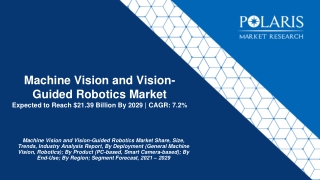 Machine Vision & Vision Guided Robotics Market | PMR