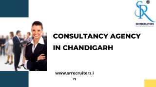 Amazing Consultancy Agency in Chandigarh