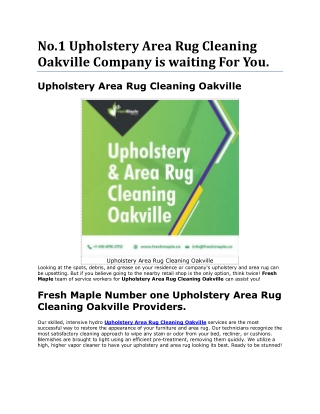 Better to hire Expert for Upholstery Area Rug Cleaning Oakville Once a Month