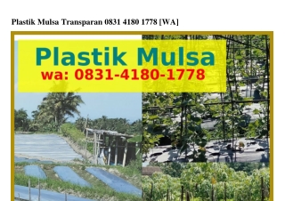 Plastik Mulsa Transparan 08ЗI•ㄐI80•Iᜪᜪ8(WA)
