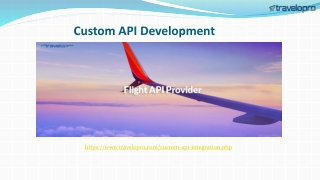 Custom API Development